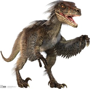 91OIe-dZZ3L._AC_SL1500_